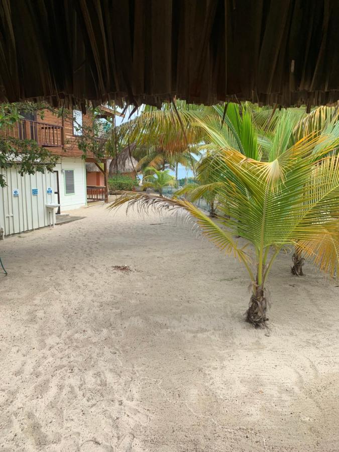 הוילה Placencia Heavens Gate Beach Bungalows מראה חיצוני תמונה